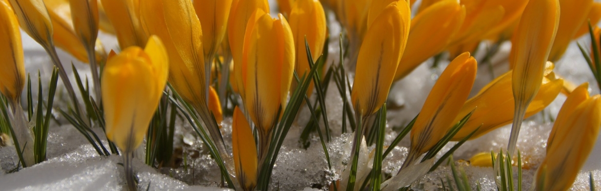 Endings + Beginnings - Full Day Workshop + Lunch