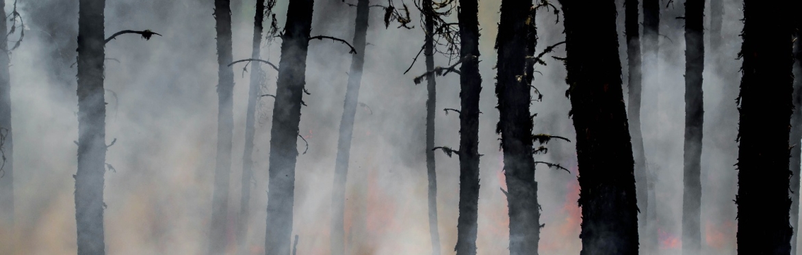 Toward a Universal Treaty on ‘Protection of Persons in the Event of Disasters’