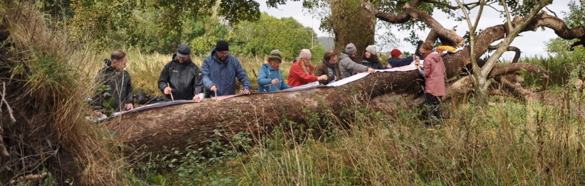 Drawing workshops in Craigmillar Castle Park with Sarah Gittins