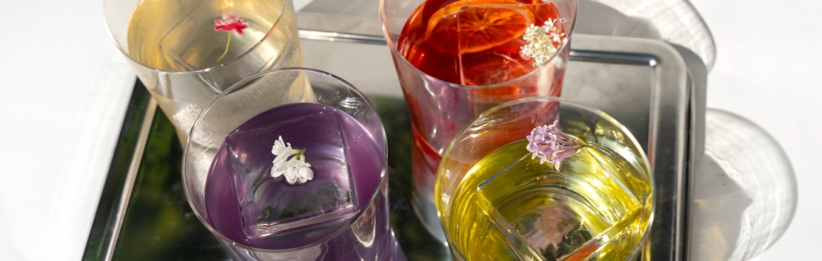 Seasonal flavor experience w/ D Ferments