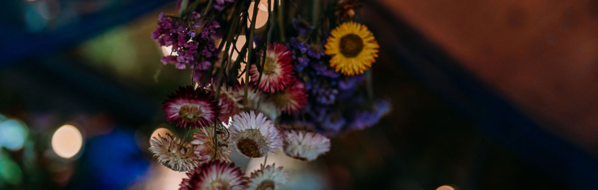Fairy Holiday School: 🪻🌼Lavender's Gardening School