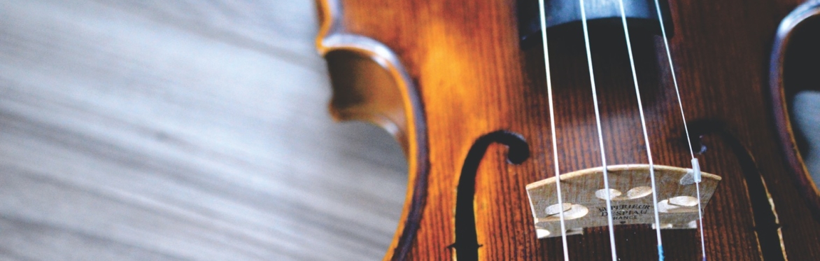 Soirée Musicale Fundraiser - Reno