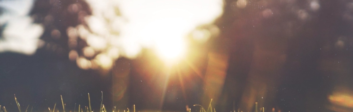 Summer Yoga and Meditation Retreat