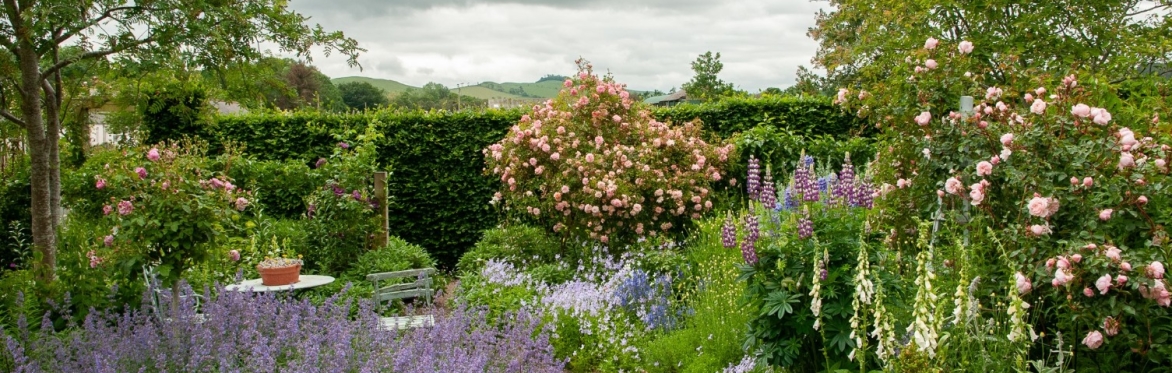 Kirky Cottage Open Garden 2026