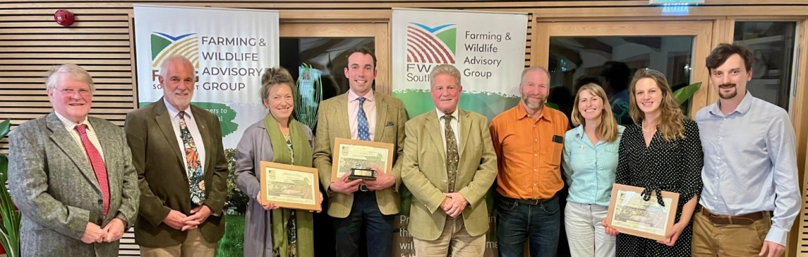 Silver Pintail Award Evening