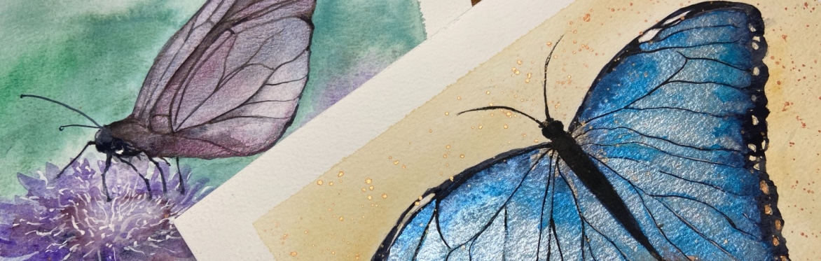 Watercolour and Mixed Media: Butterflies and Bees