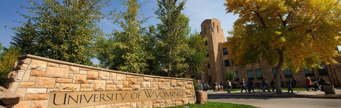 Joint Summer Meeting- Laramie WY