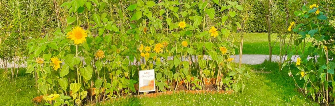 Memory Garden Planting Event