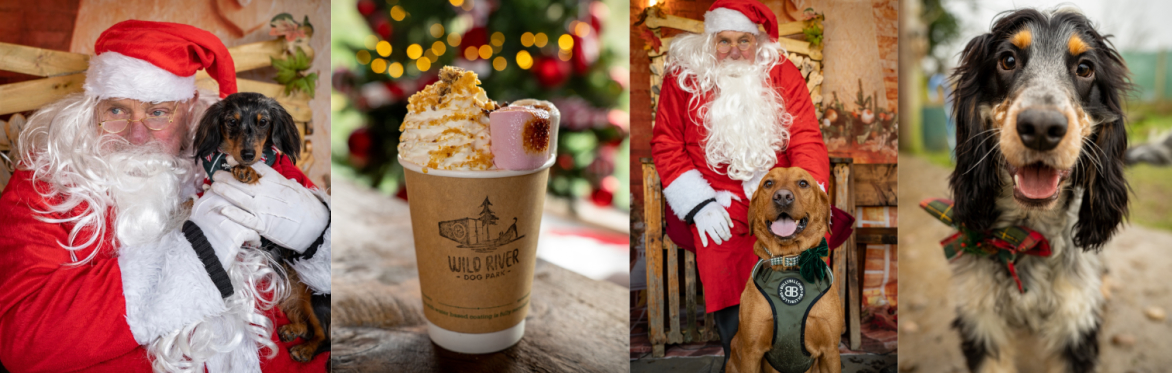 Santa Paws: Wild River’s Winter Wonderland