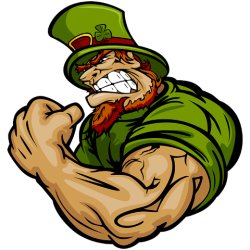 Vs Butte Irish