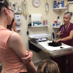 Future Vet Academy