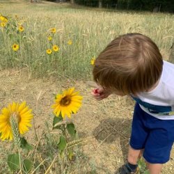 Little Farmers Fun Days