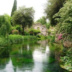 Ninfa Study Event