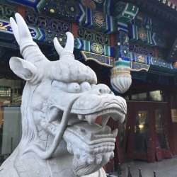 Tourism and Cultural Exchange Visit in November 2026