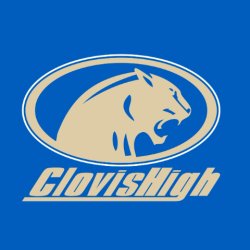 Clovis High Cougar BBQ