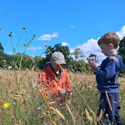 Bioblitz Wildlife Weekend 2026 - Hazel Hill Wood