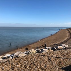 Mid-Week Morning Walk : Minnis Bay