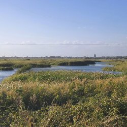 Mid-week Morning Walk : Dungeness