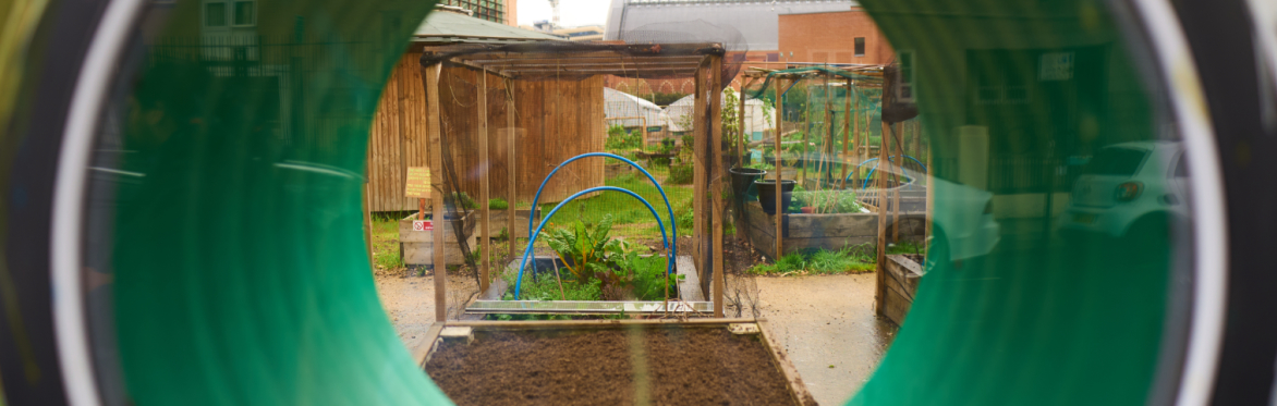 Story Garden Winter Solstice Celebration