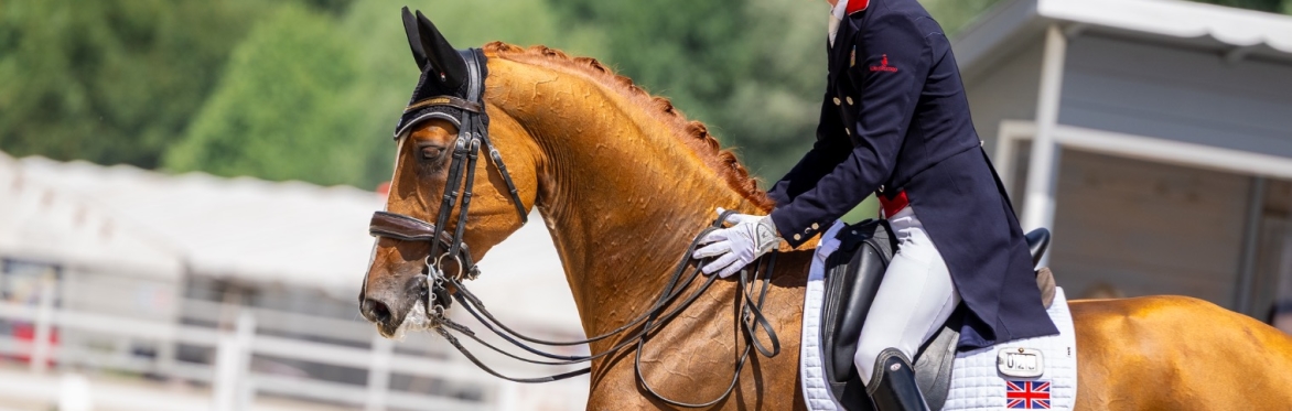 Dressage Clinic, Private 45 minute session with  Myles Graham