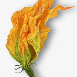 Paper Flower Making Workshop with Anneli Skaar