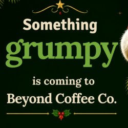 Grinch Experience