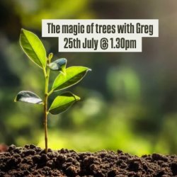 The Magic of Trees with Greg Oakley - July 25th @ 1.30