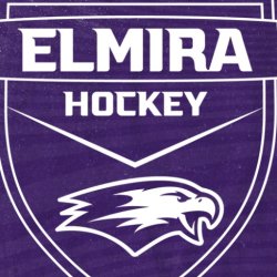 2026 Elmira College Boy's & Girl's Ice Hockey Camp