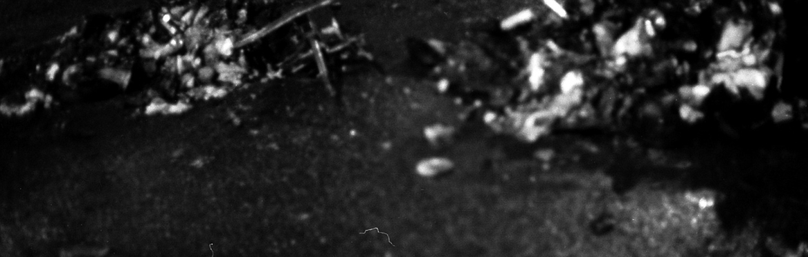 FIELDNOTES/live_002
