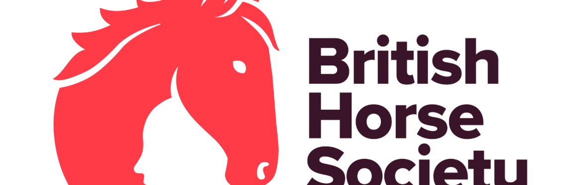 BHS First Aid Refresher Course