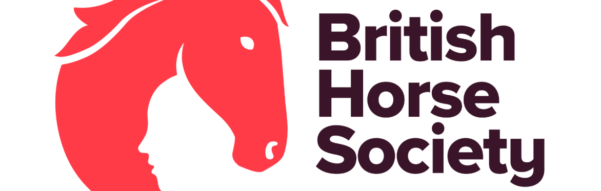 BHS Mental Health First Aid Foundations