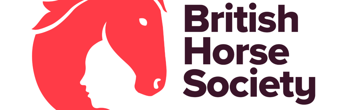 First Aid Training - Two Day Initial Course (Grove House Stables) Yorkshire