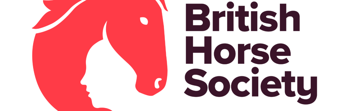 First Aid Training - One Day Refresher (Grove House Stables) Yorkshire
