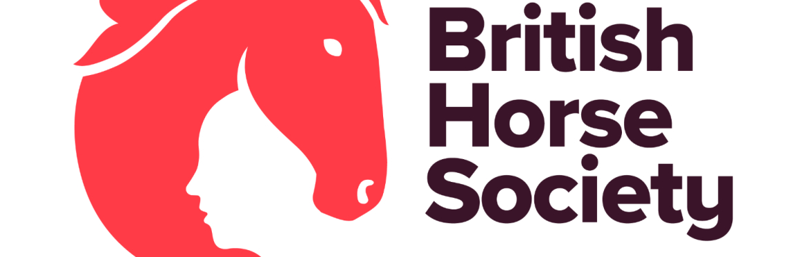 First Aid Training - One Day Refresher (Bicton College) South West