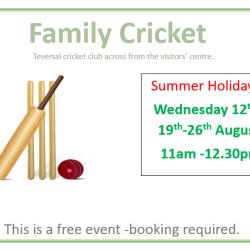Family cricket