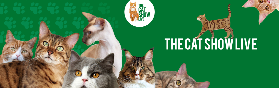 Lots of different cat breeds on a green background with the text 'The Cat Show Live'