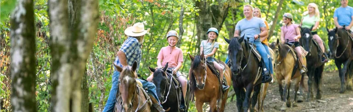 7 in Heaven Singles Horseback 9:30am Session Ages 40's 50's 60's Sun 11/08/26