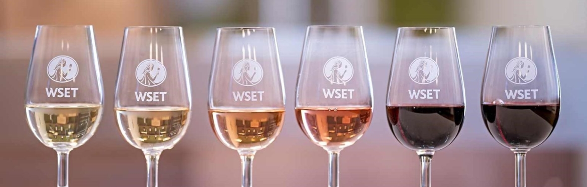 An evening of wine tasting