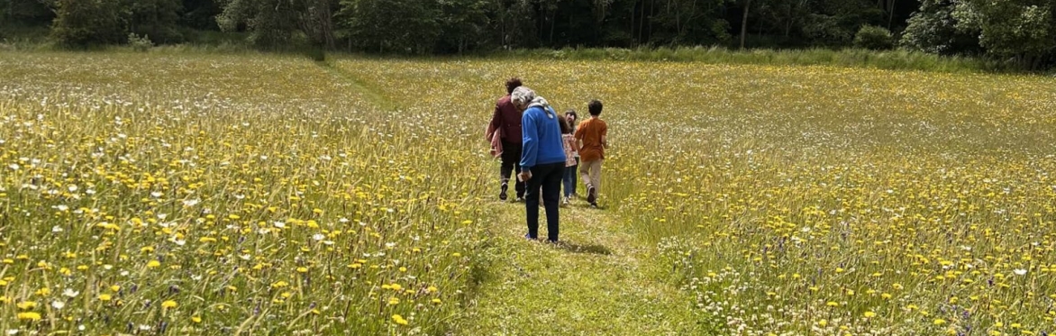 Wildflower Workshop: East Lothian Biodiversity Collective