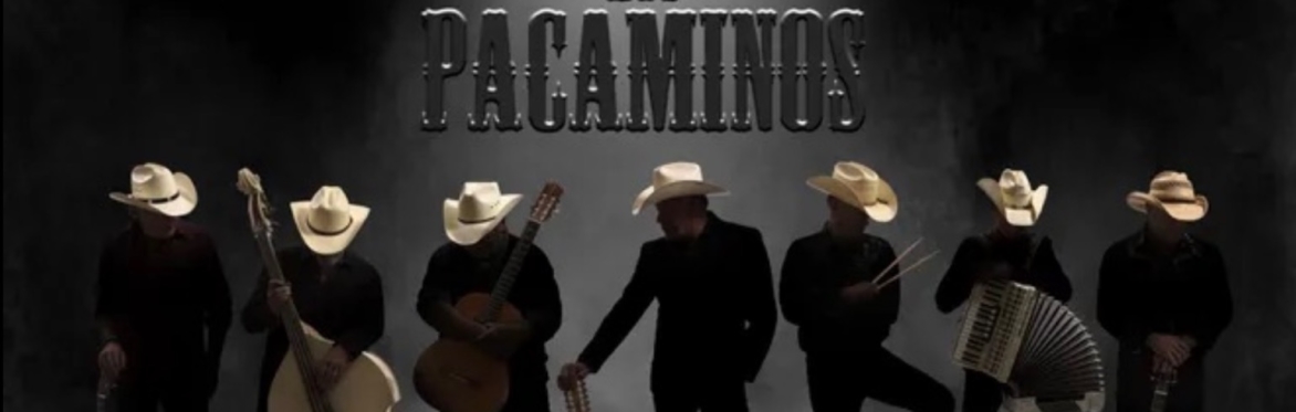 Los Pacaminos