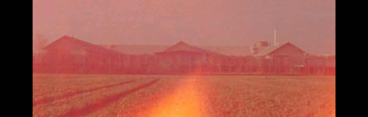 Artists' Film: Selected 14