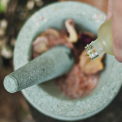 herbal medicine course