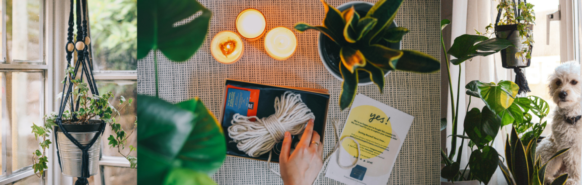 Make Your Own Macrame Plant Hanger
