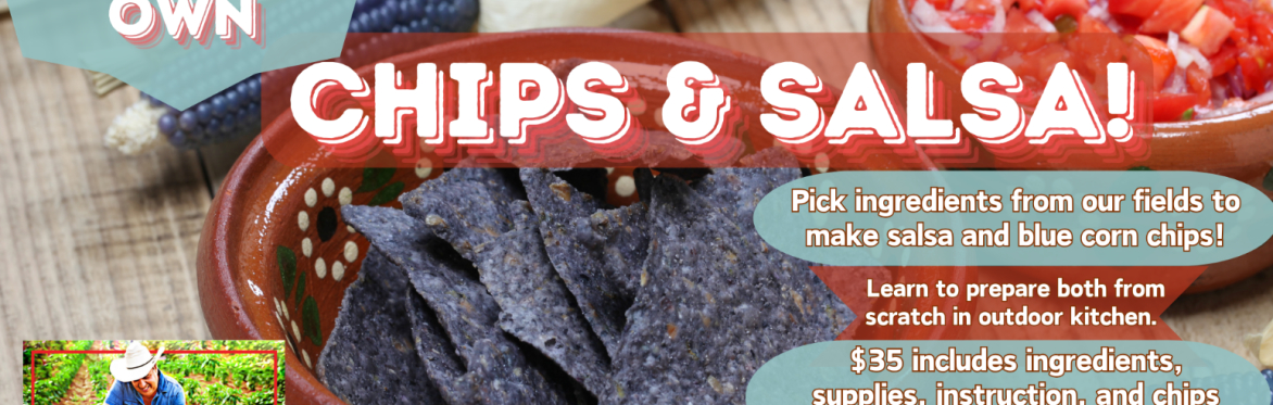 Pick and make your own chips & salsa!