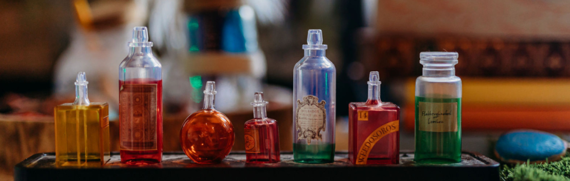 Fairy Patience's Potion Holiday School 🧪🐸 Frog Tastic!