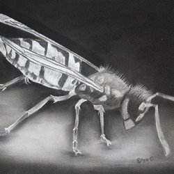 Drawing & Painting Workshops - Core Skills: Shading, Light and Chiaroscuro
