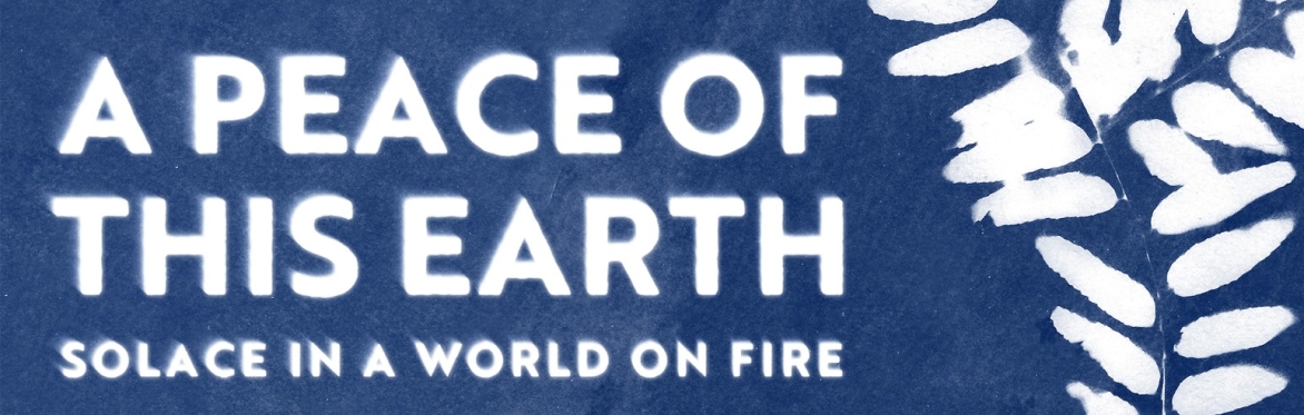 A Peace of This Earth: Solace in a World on Fire