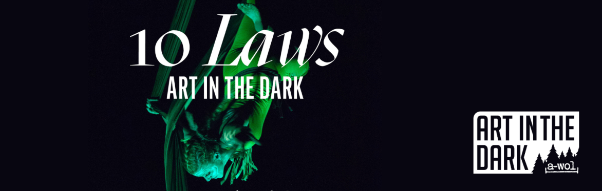Art in the Dark 2025 - Waitlist