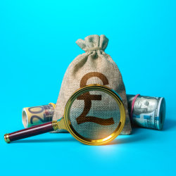 Money bag with a magnifying glass