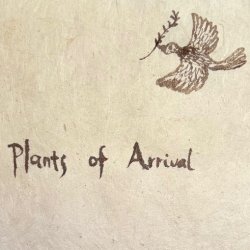 Plants of Arrival: Drawing Belonging Through “Weeds”